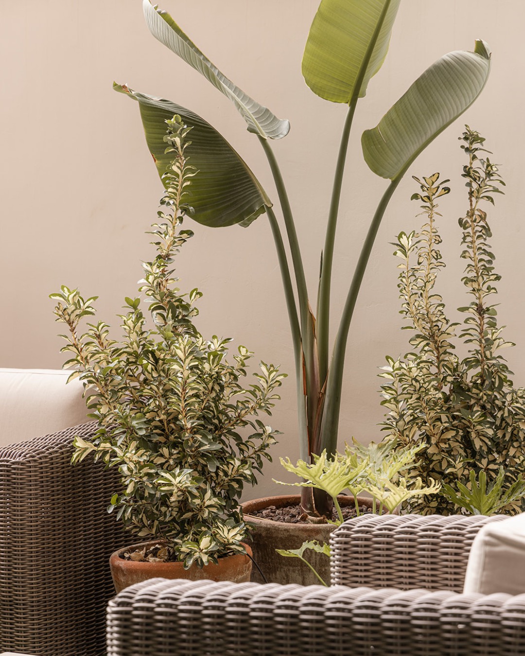 Vivienda DB